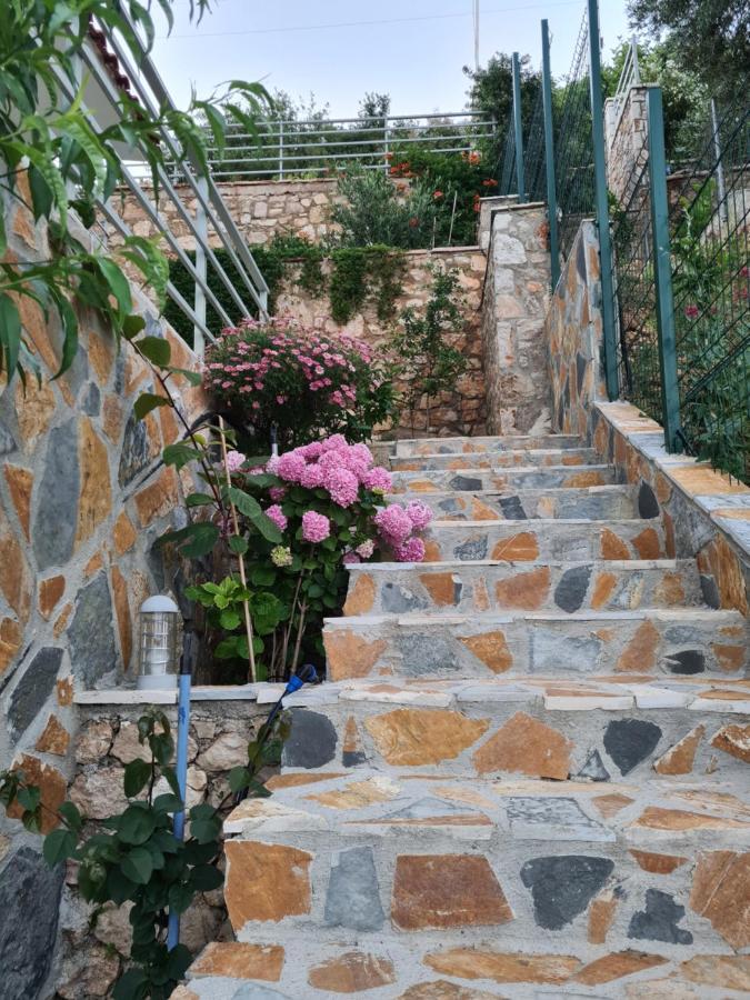 Maison d'hôtes Vila Tatjana à Vuno Extérieur photo
