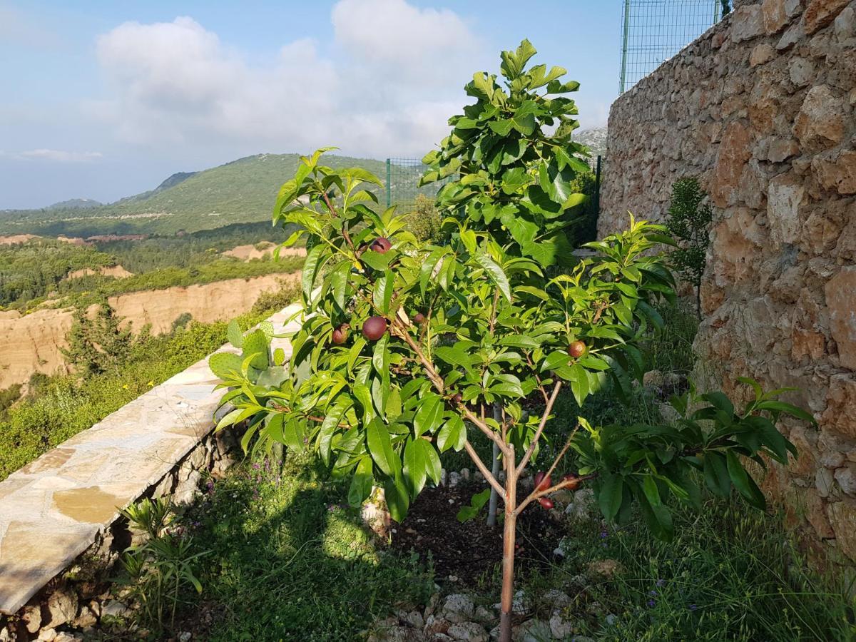 Maison d'hôtes Vila Tatjana à Vuno Extérieur photo