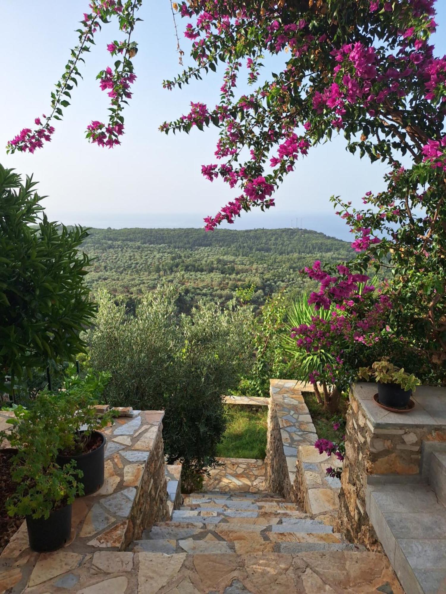 Maison d'hôtes Vila Tatjana à Vuno Extérieur photo
